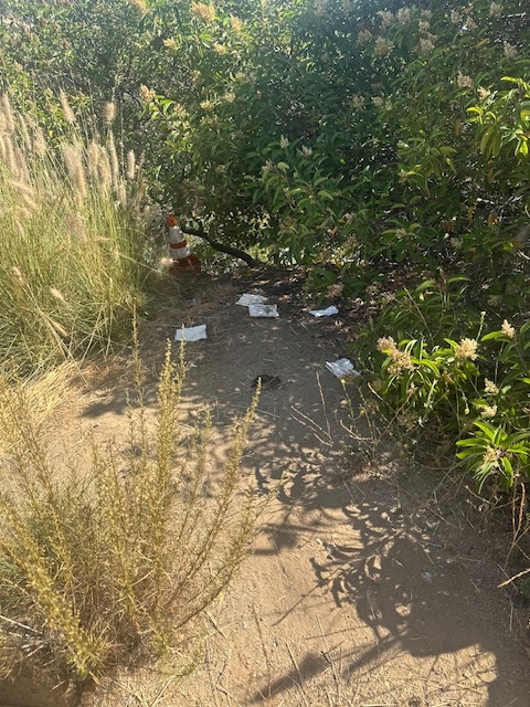 77405348227__DCD70E8E-D054-45E1-A5BE-3D72438EA691